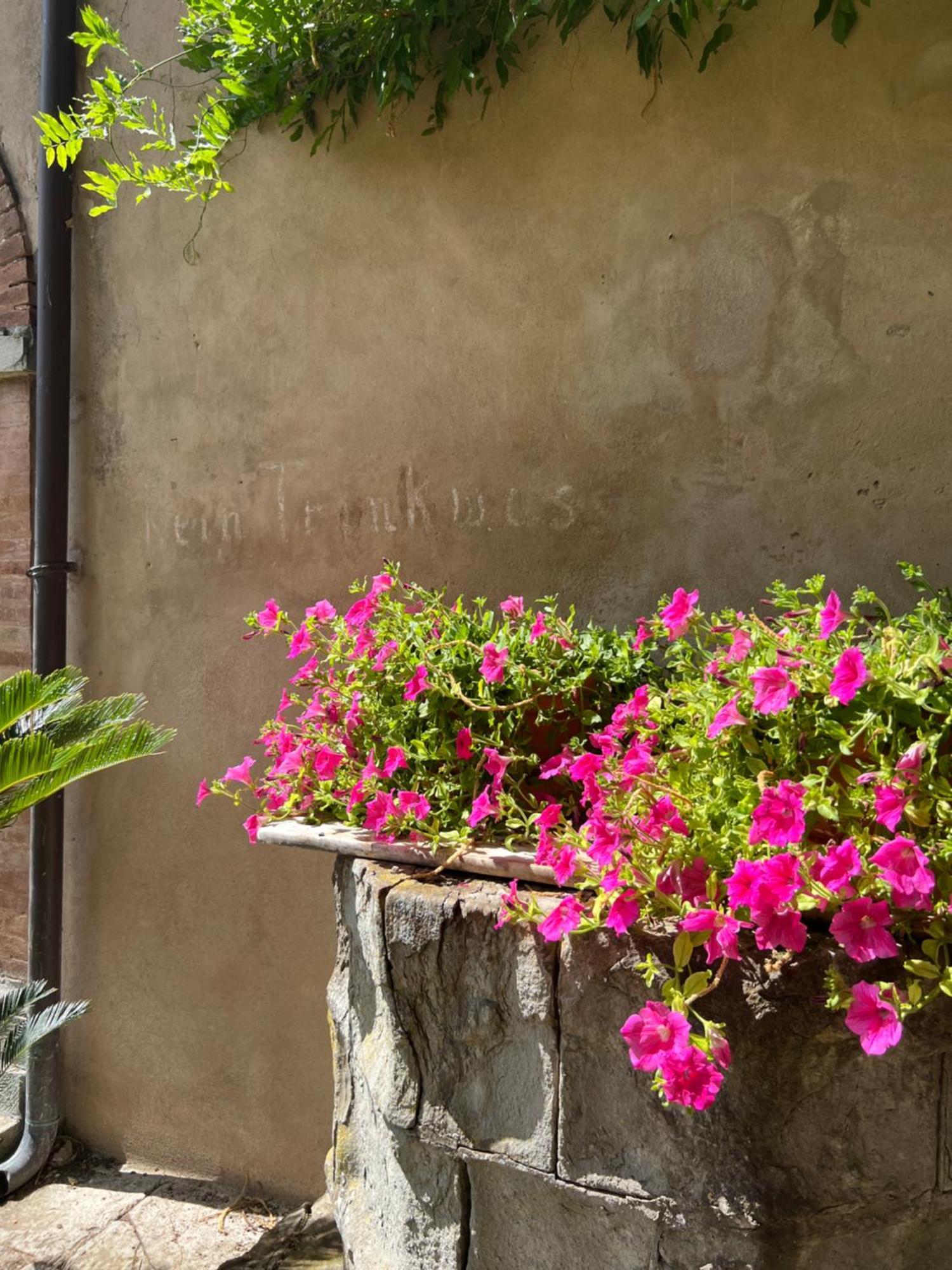 مبيت وإفطار Zocchetta Casa Barattini المظهر الخارجي الصورة